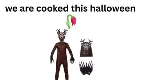 Video by gummi-akita-offical