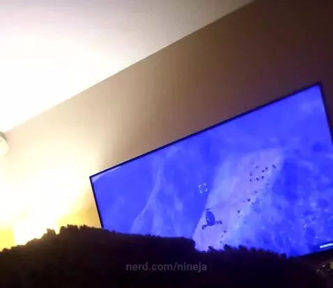 I'm sick so  I'm playing video games by nineja