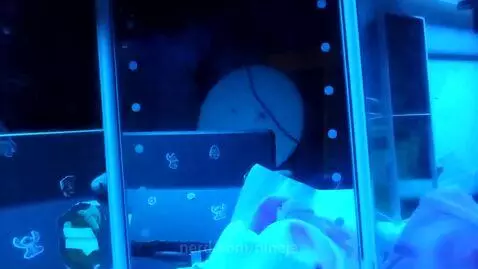 I dont have a title by nineja