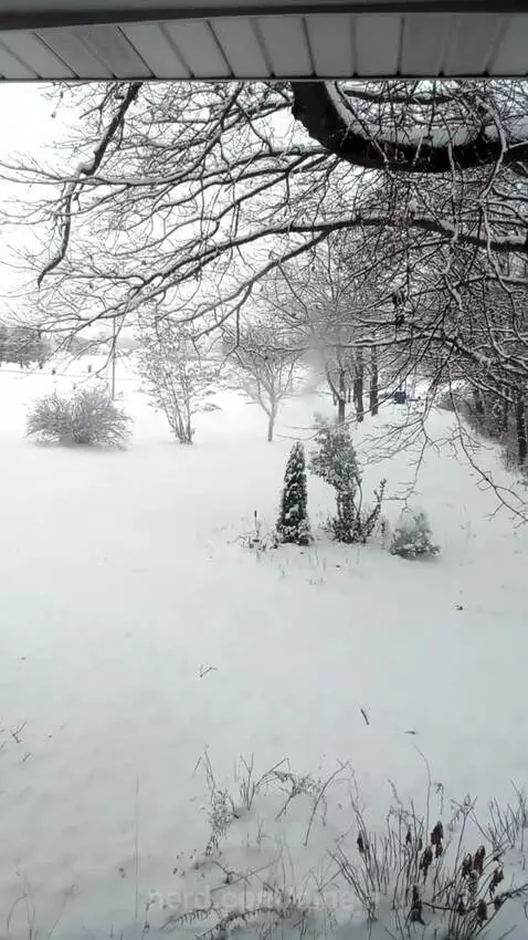 Lucky to have a yard of snow by nineja