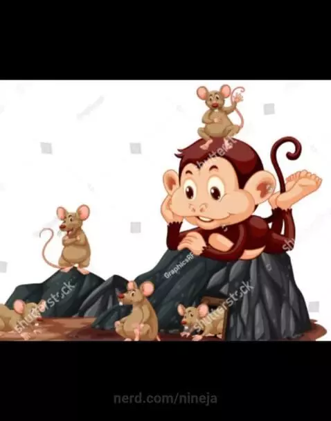 Monkey rat by nineja