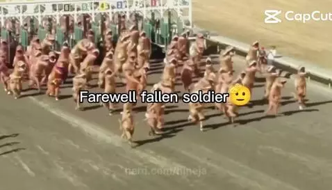 deIIInasOUrs by nineja