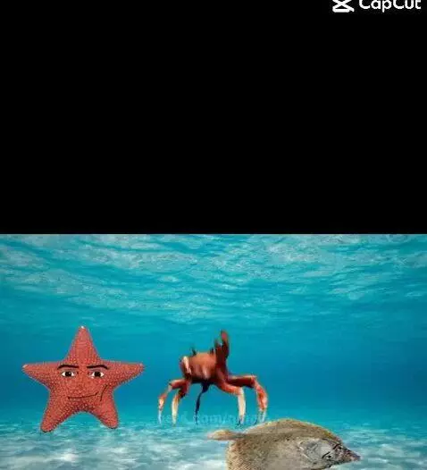 Fish💦💦💦💦 by nineja