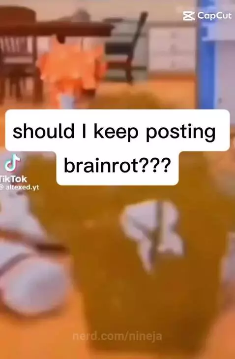 Should I keep posting brainrot??????? by nineja