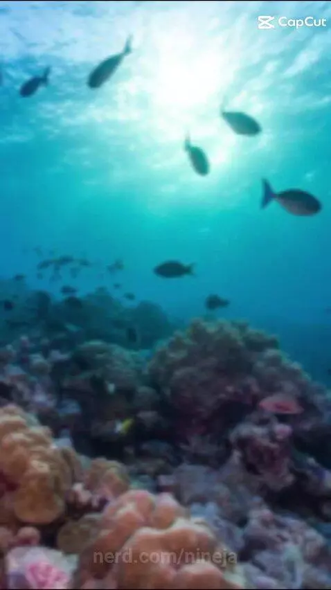 😮😮😮😮😮 by nineja