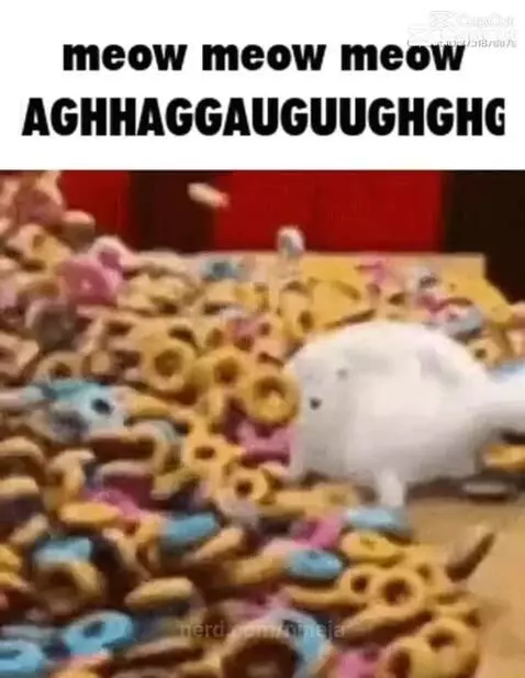 meow meow meow AGHHAGGAUGUUGHGH by nineja