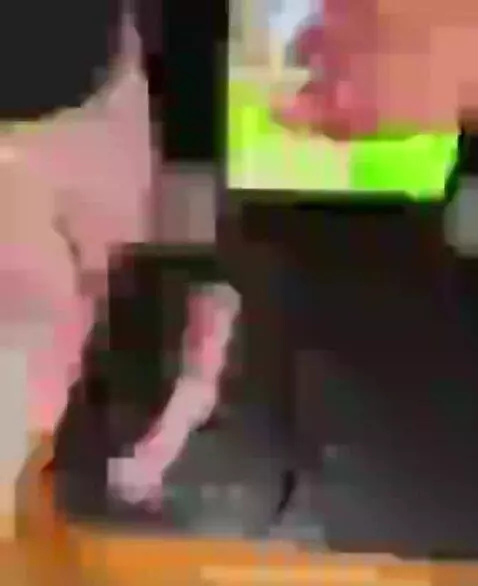 Best of cooking in my bedroom! by zoeyryan