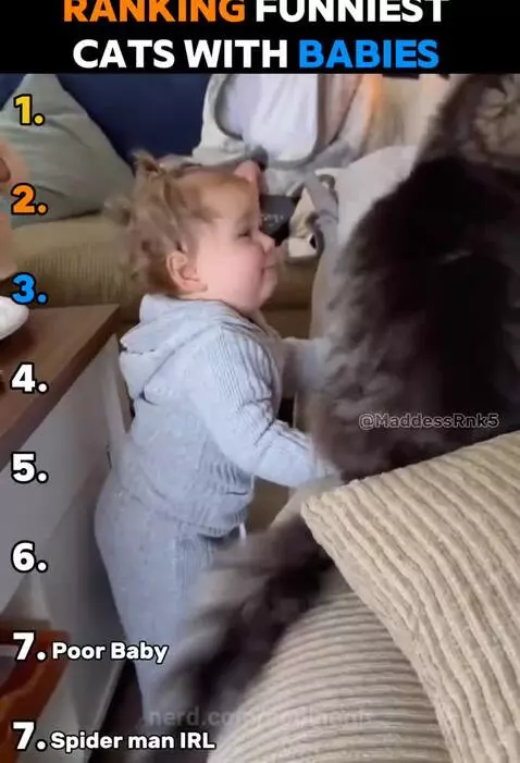 Ranking funniest cats with babies by coolnoob