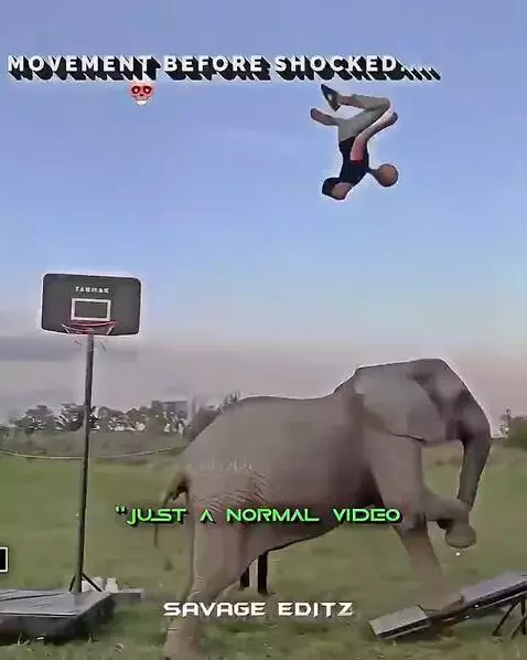 this is not my video by coolnoob