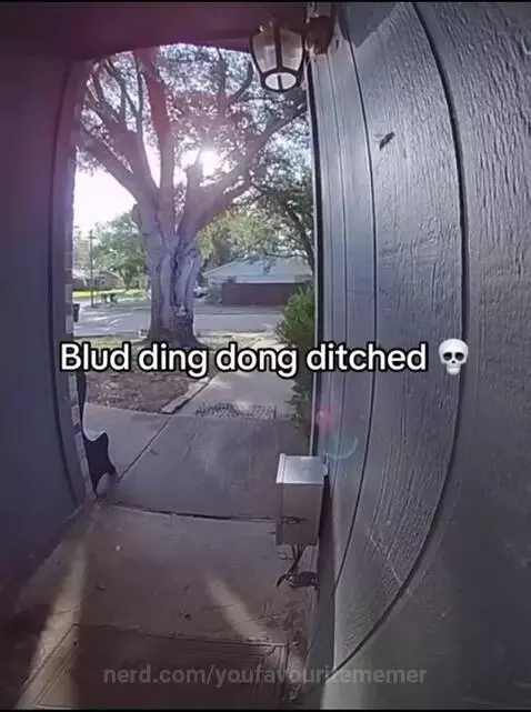 Master of ding dong ditch by youfavouritememer