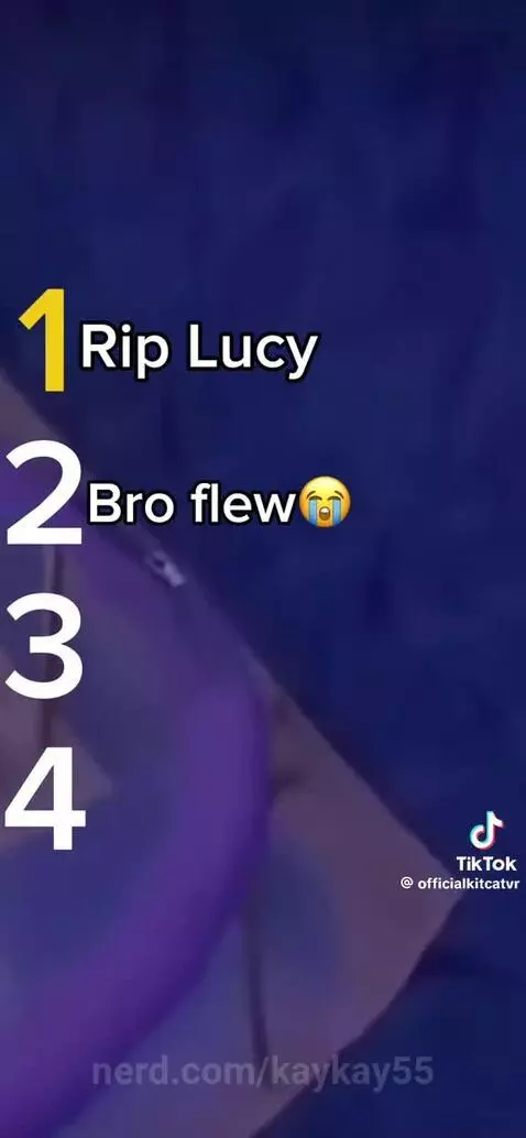 Brooo what is this by kaykay55