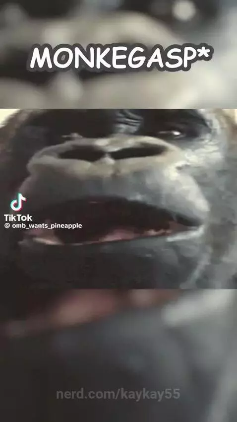 Video by kaykay55