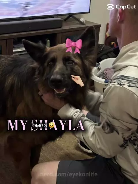 MY SHAYLA by eyekonlife