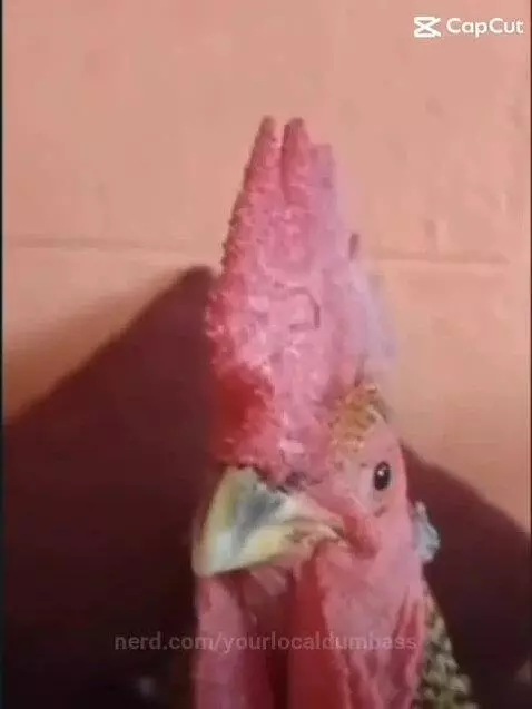 just got bored lol by yourlocaldumbass