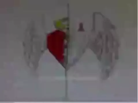 did I eat? tell me in the comments by bigbackthe1st