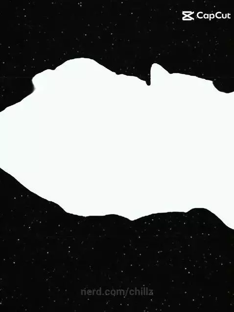 Cat Edit (I tried) by chillz