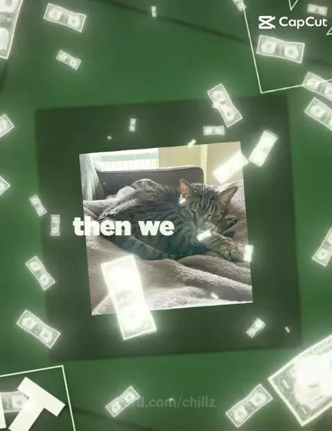 Another Cat Edit (I Tried) by chillz