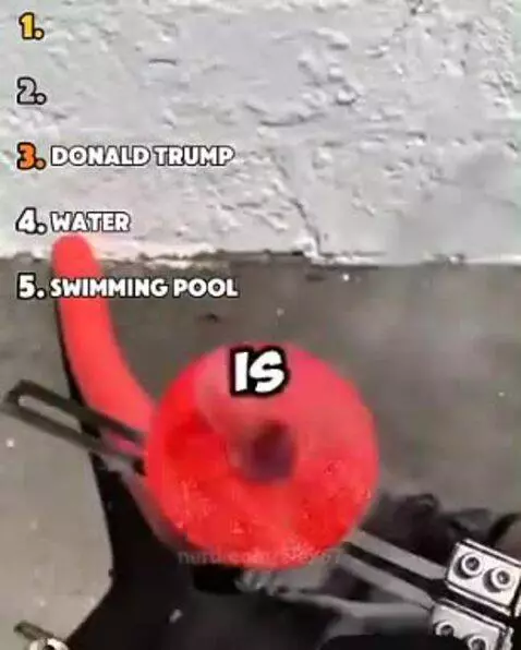 did you know? by alex67