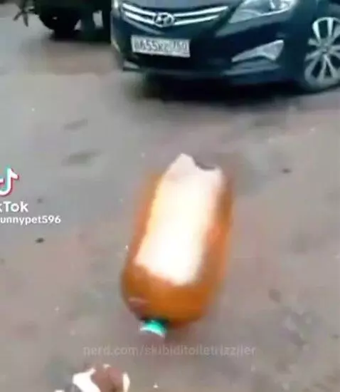 Video by skibiditoiletrizziler