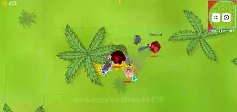 Video by wudfneu48438