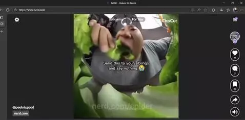 Nerd scrollin by spider