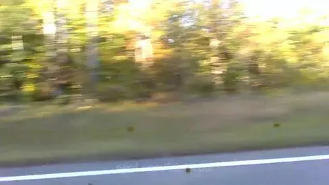 going to a pumpkin patch!!! #outside #fun by islaiscool