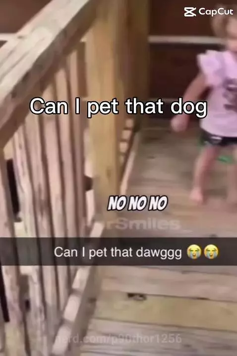 Can I pet that dog#funny by p90thor1256