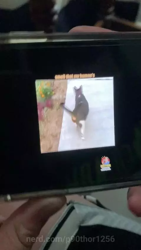 #funny by p90thor1256