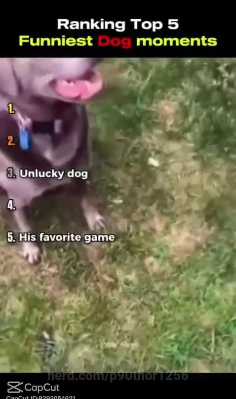 Funny by p90thor1256