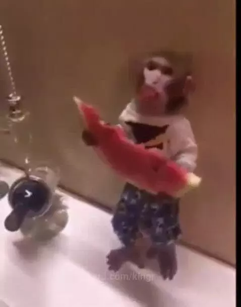 Well well well what do we have here by kingr