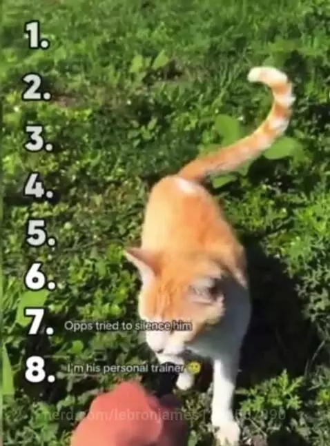 Video by lebronjames1234567890