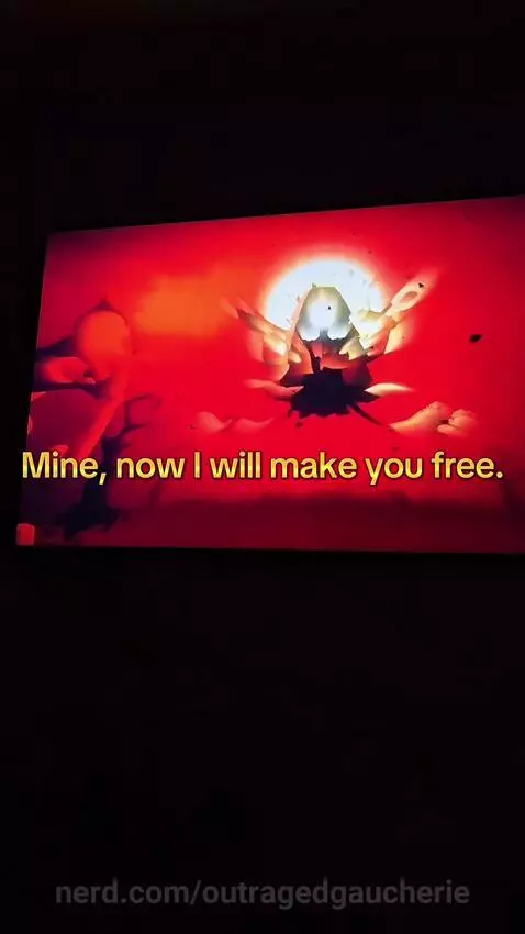 Video by outragedgaucherie