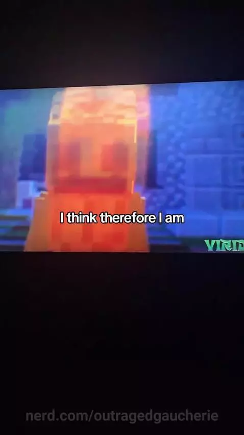 Video by outragedgaucherie