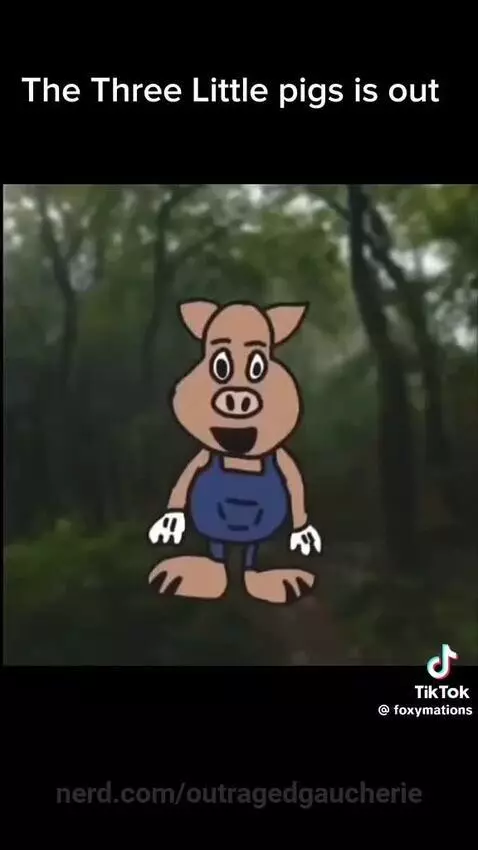 Video by outragedgaucherie