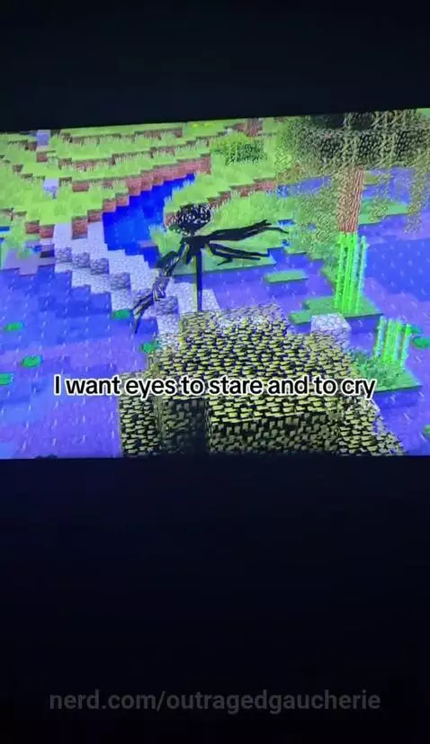 Video by outragedgaucherie
