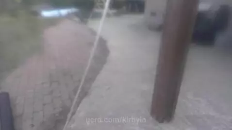 Doggy just can't figure out life by kirbyio