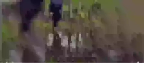 Video by aidenhowell