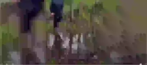 Video by aidenhowell