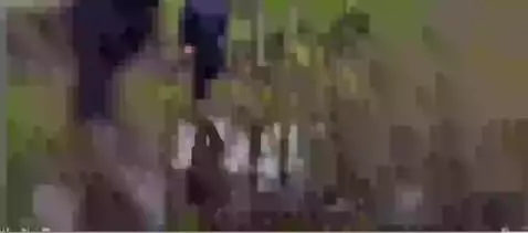 Video by aidenhowell