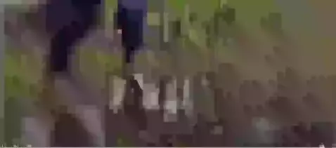 Video by aidenhowell