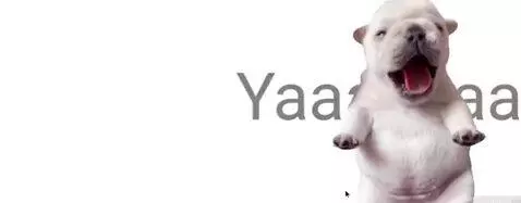 W pibble by monkeyguy6767