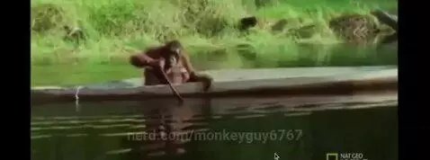 Video by monkeyguy6767