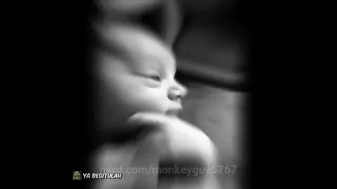 Video by monkeyguy6767