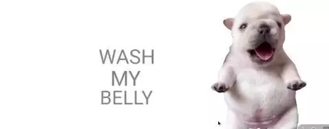 Video by monkeyguy6767