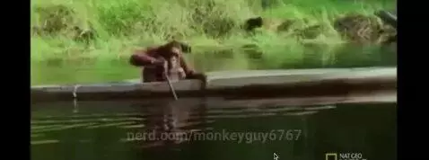 Video by monkeyguy6767