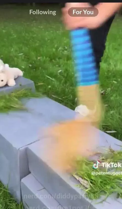 Real by diddyparty83