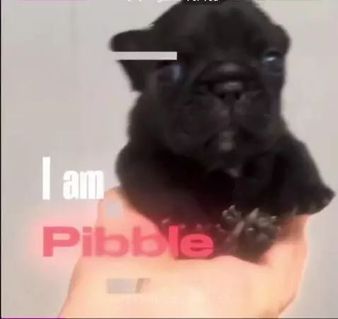 Am not by diddyparty83