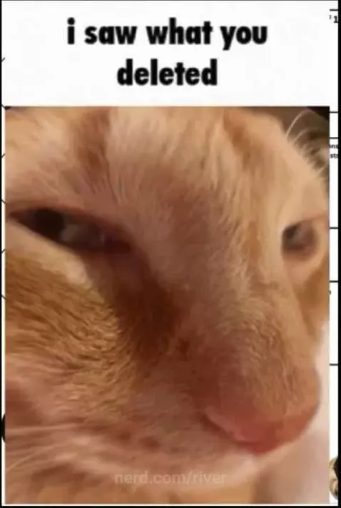 Yes i saw that by river