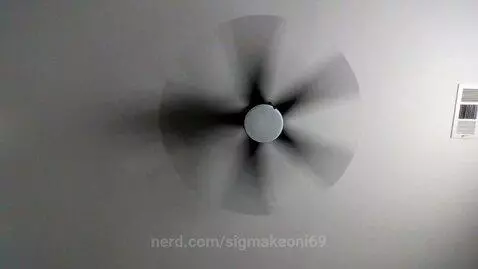 FAN GOES ON AND ON ON ON by sigmakeoni69