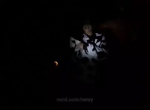 dark night by henry